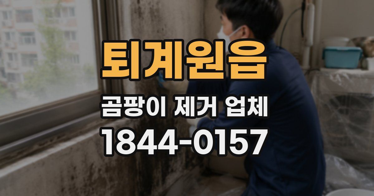 퇴계원읍 곰팡이 제거 업체
