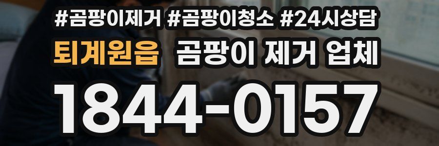 퇴계원읍 곰팡이 제거 업체