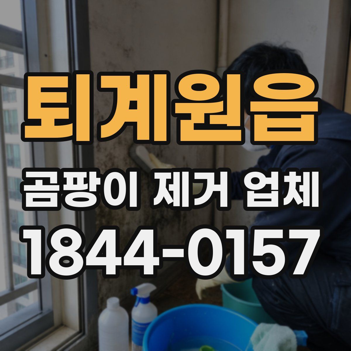 퇴계원읍 곰팡이 제거 업체
