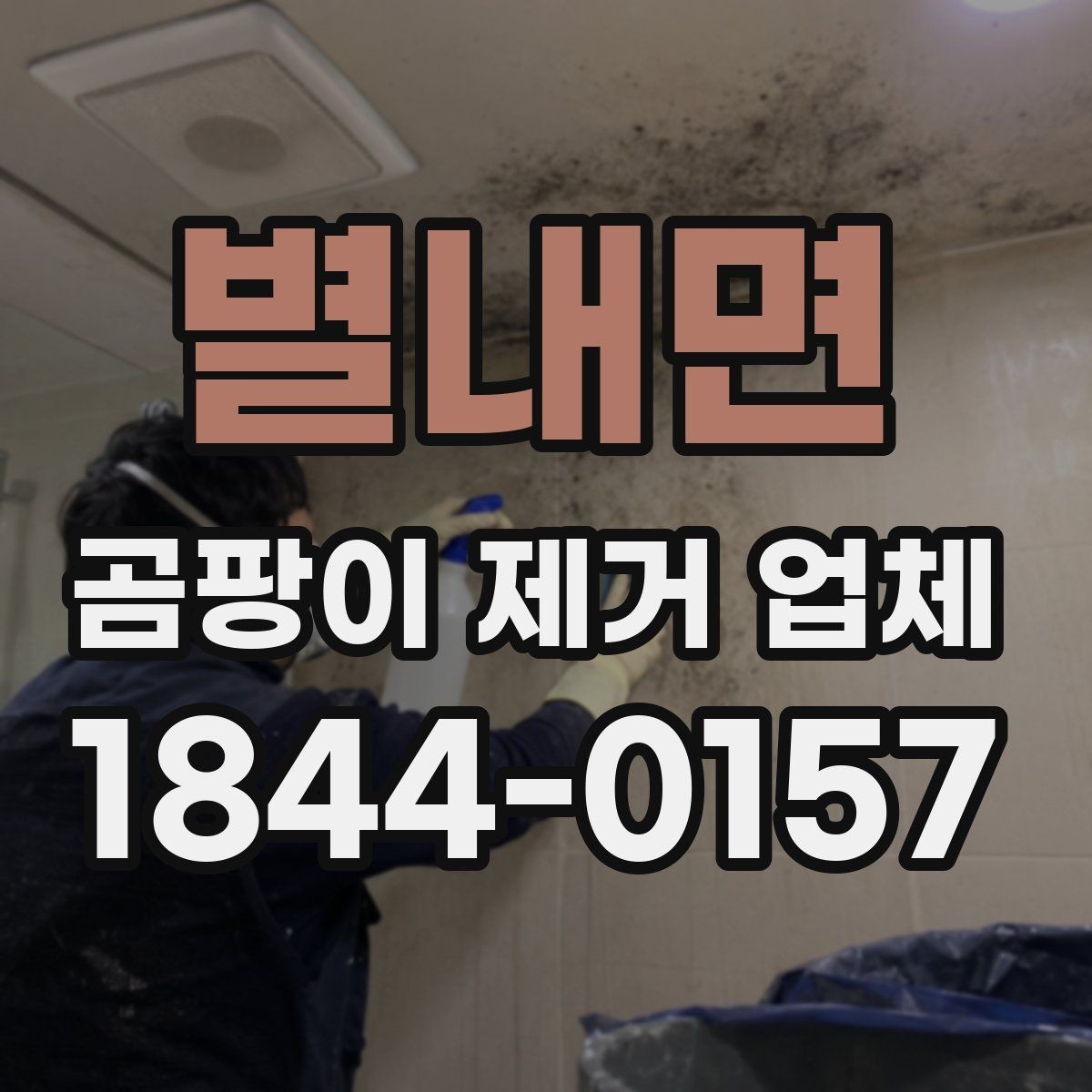 별내면 곰팡이 제거 업체 세대 간 번짐 가능성을 확인하는 체크포인트
