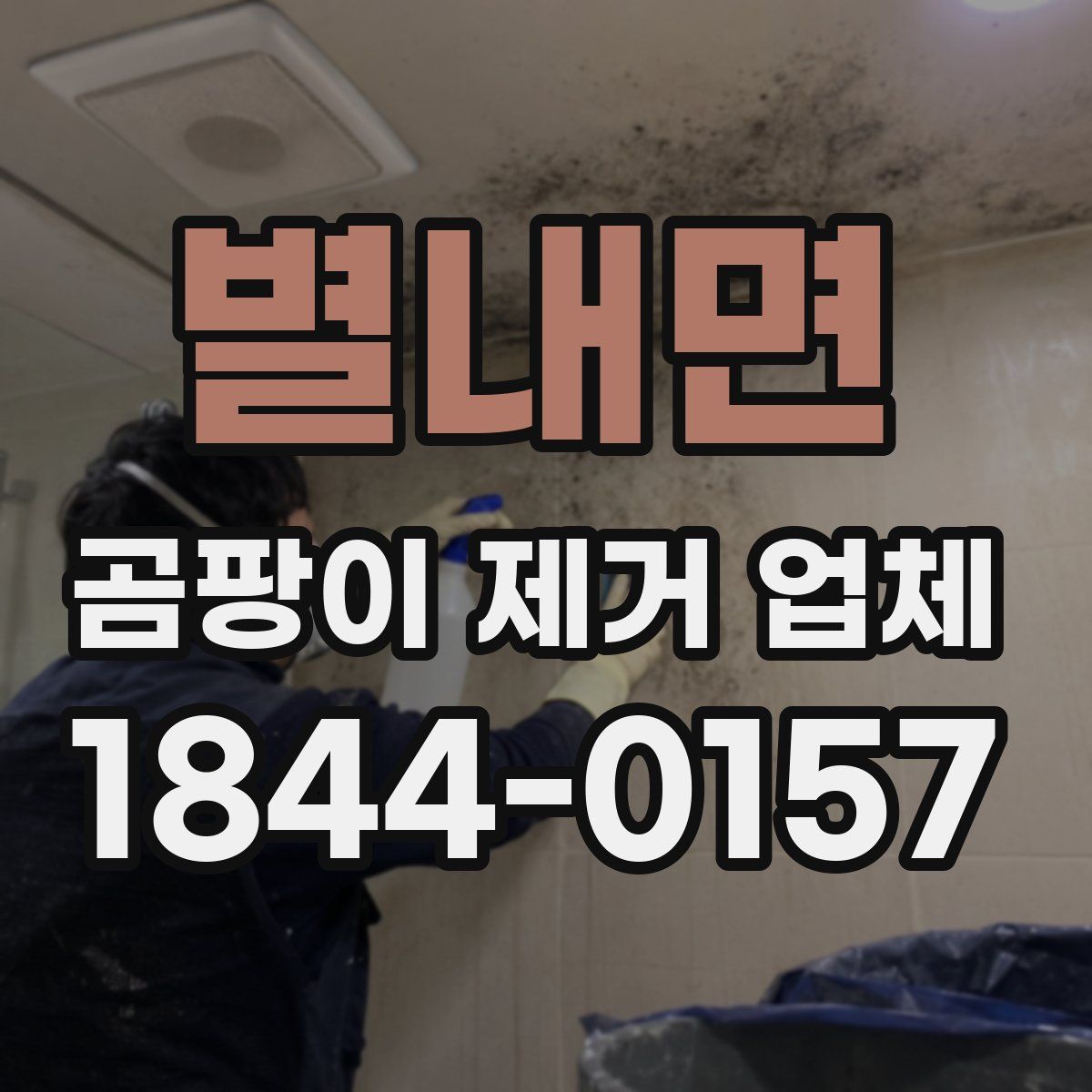 별내면 곰팡이 제거 업체
