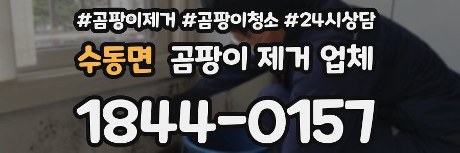 수동면 곰팡이 제거 업체