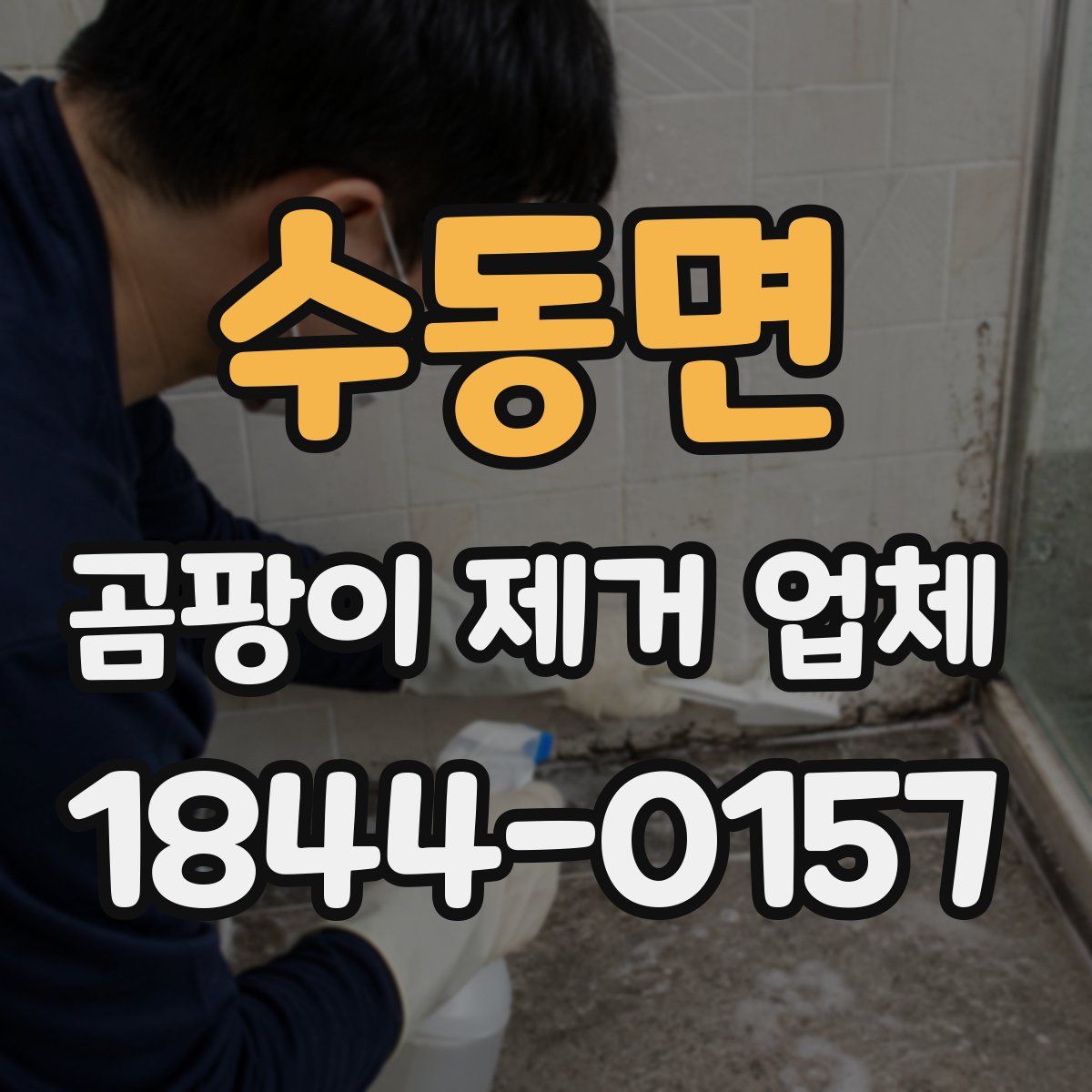 수동면 곰팡이 제거 업체
