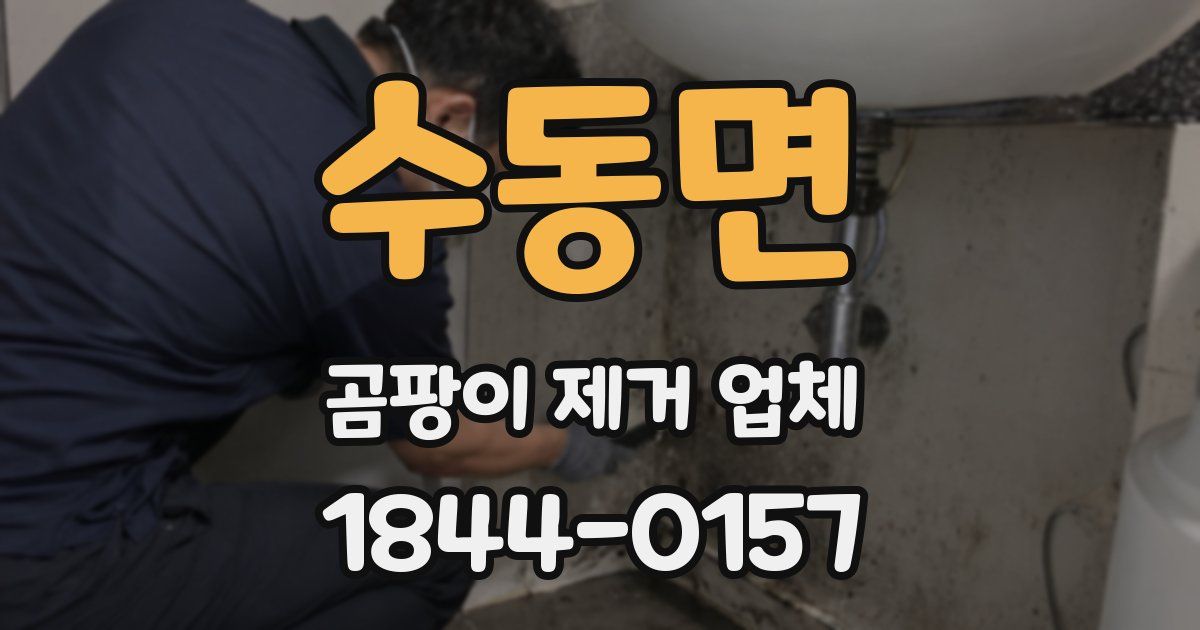 수동면 곰팡이 제거 업체