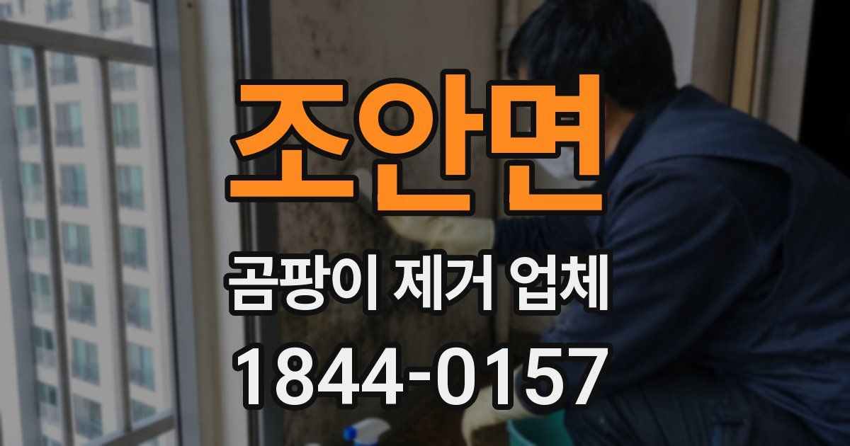 조안면 곰팡이 제거 업체