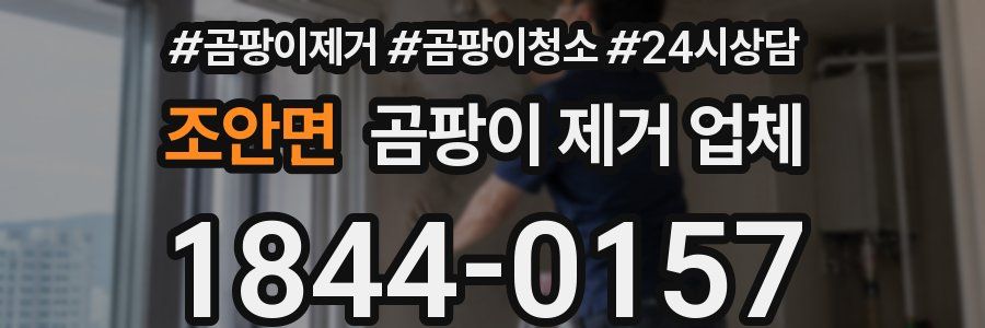 조안면 곰팡이 제거 업체