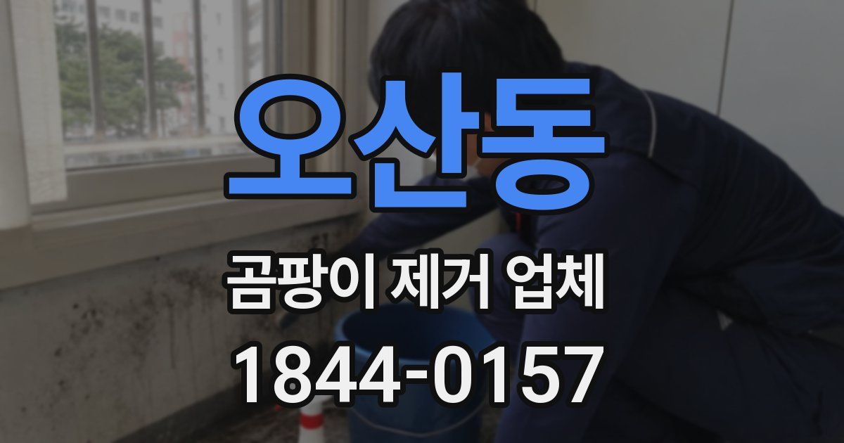 오산동 곰팡이 제거 업체