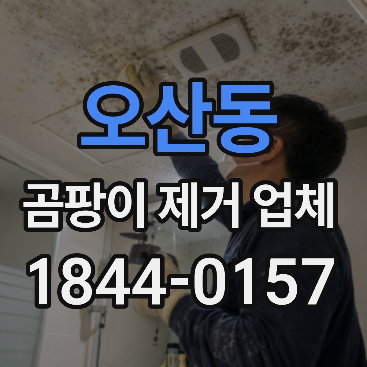 오산동 곰팡이 제거 업체