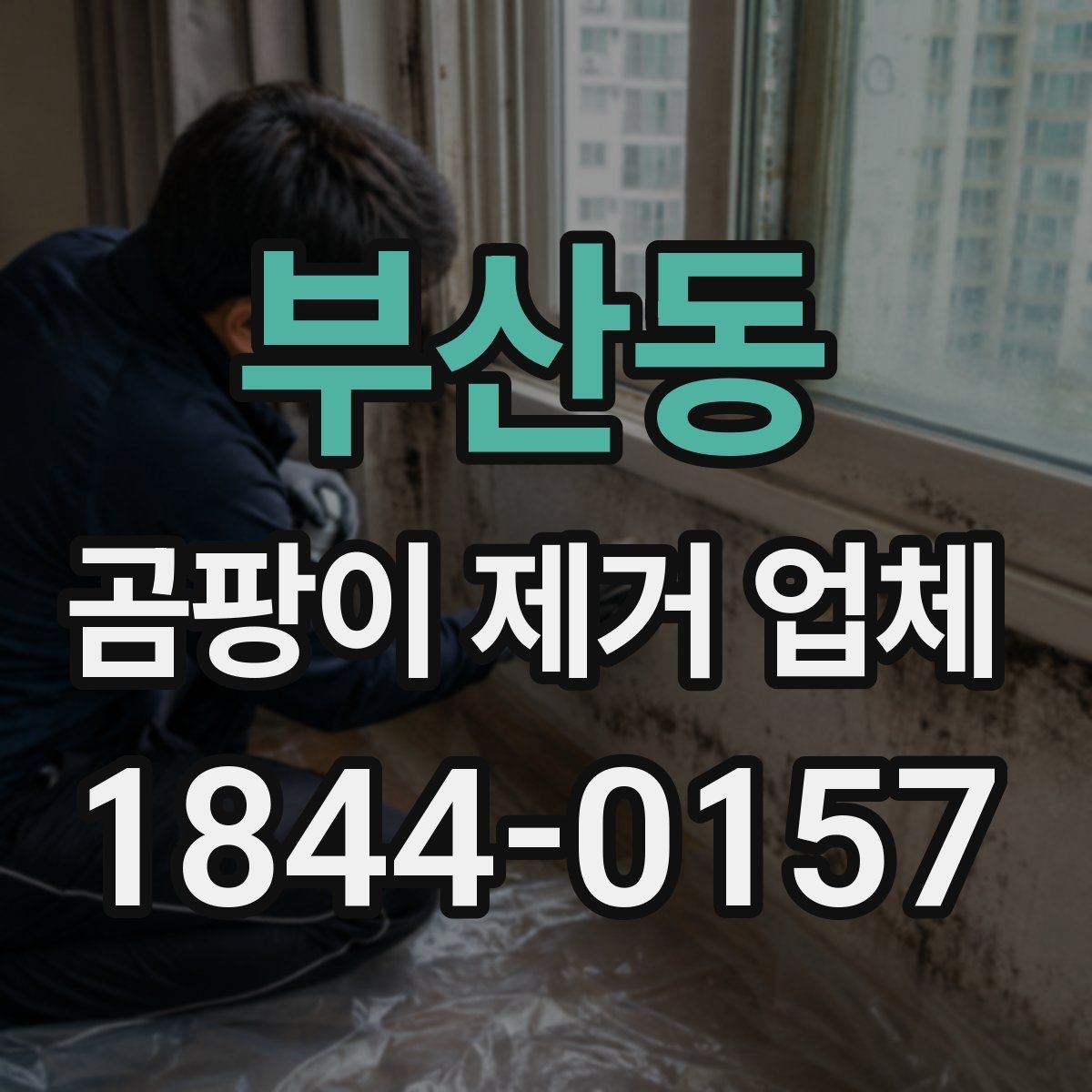부산동 곰팡이 제거 업체 결로 흔적과 습도 점검이 필요한 이유