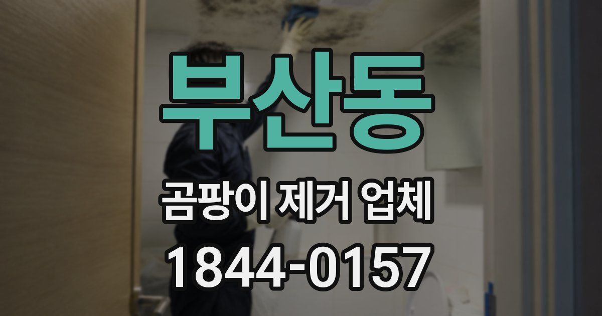 부산동 곰팡이 제거 업체