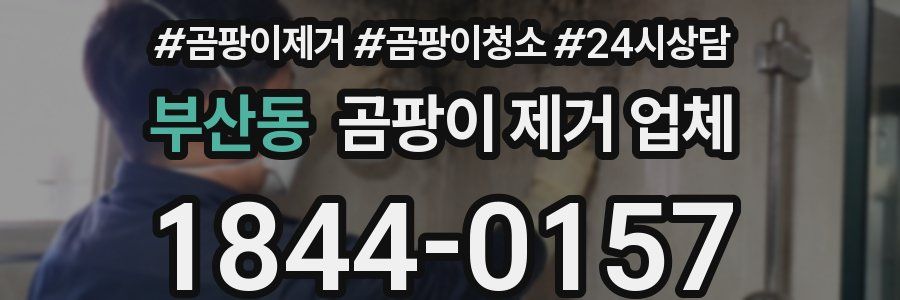 부산동 곰팡이 제거 업체
