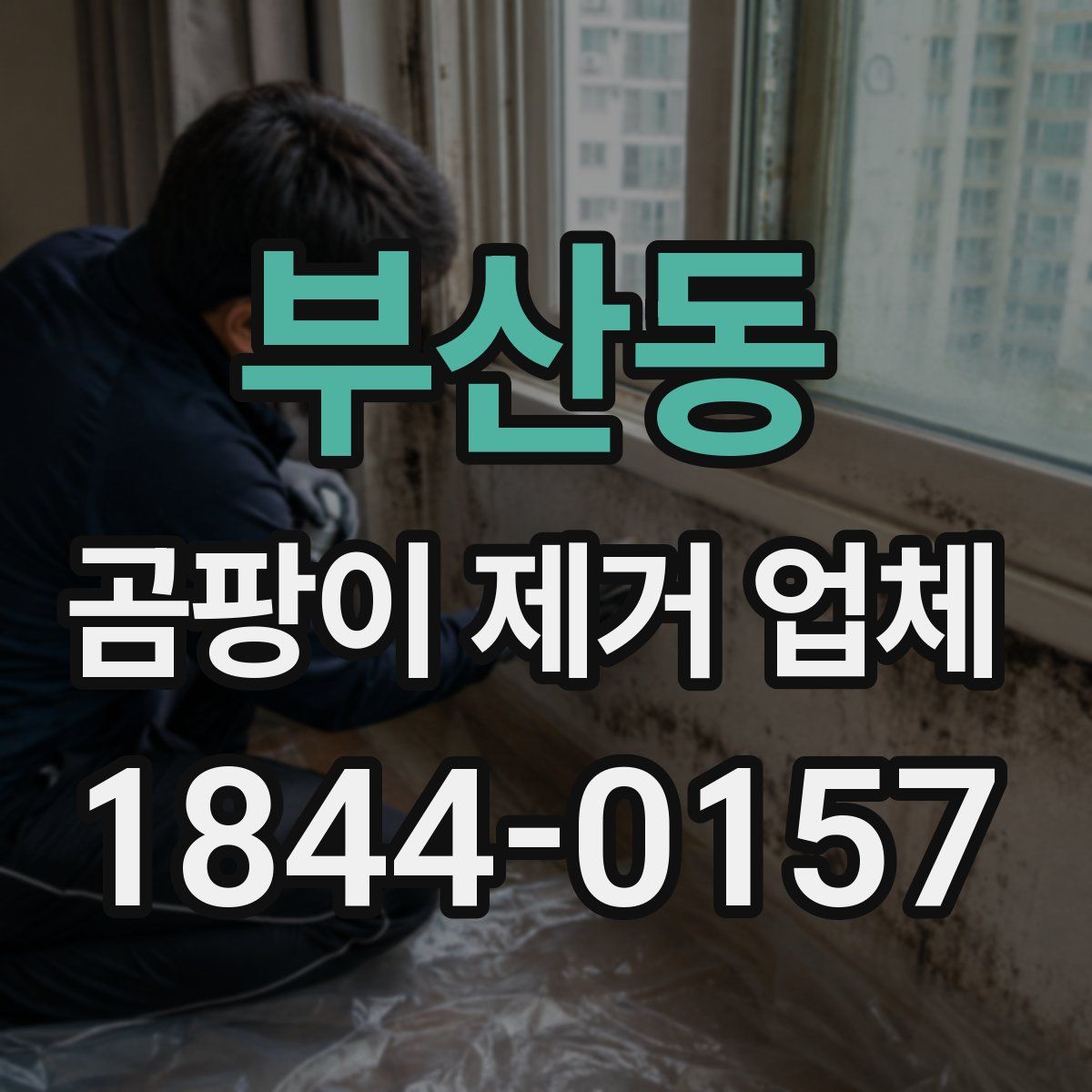 부산동 곰팡이 제거 업체
