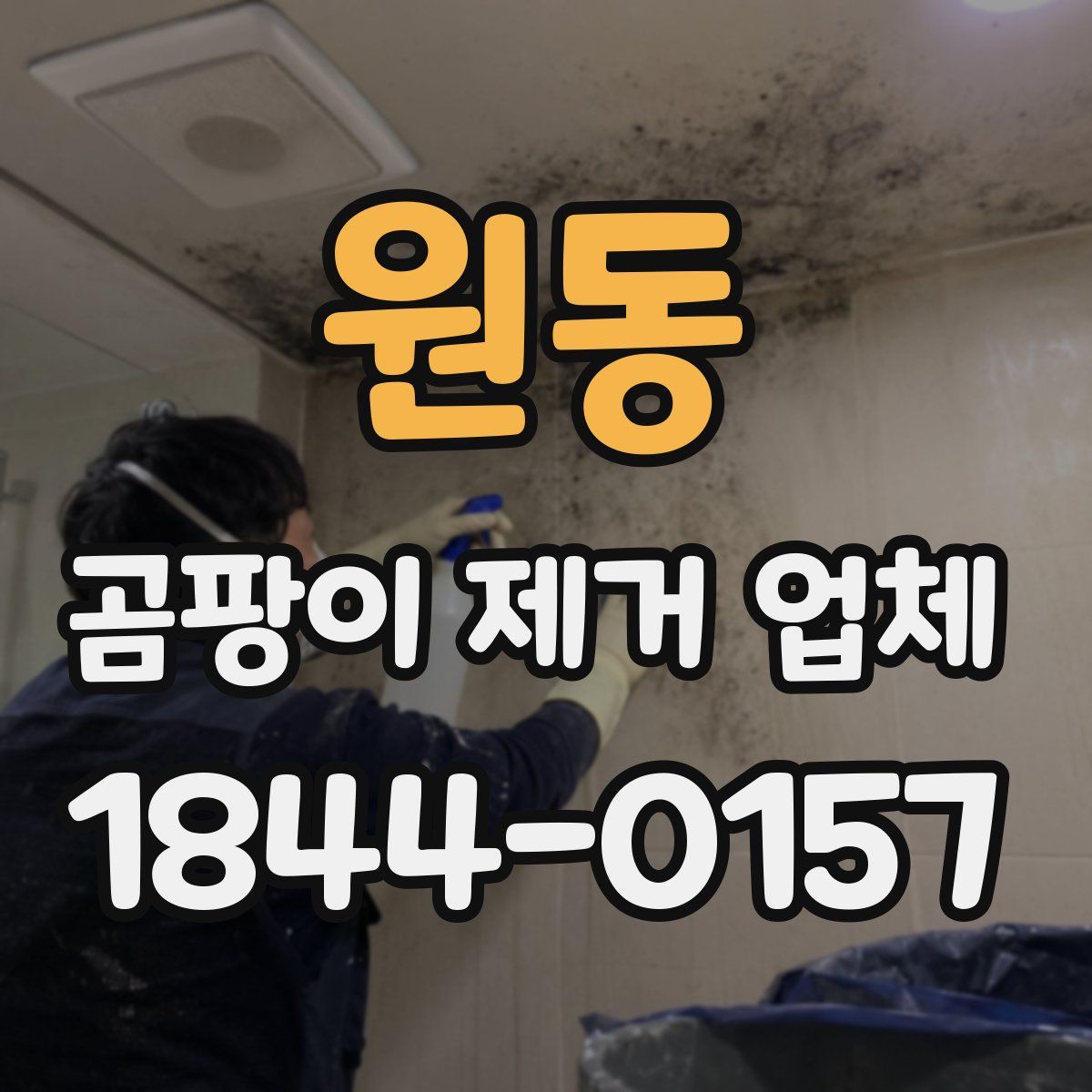 원동 곰팡이 제거 업체