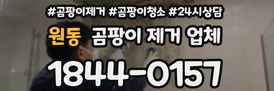 원동 곰팡이 제거 업체