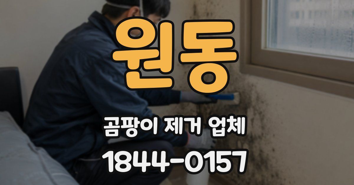 원동 곰팡이 제거 업체