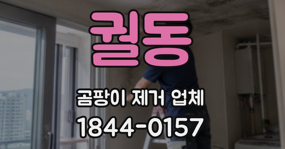 궐동 곰팡이 제거 업체