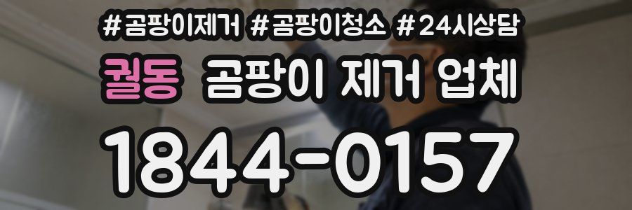 궐동 곰팡이 제거 업체