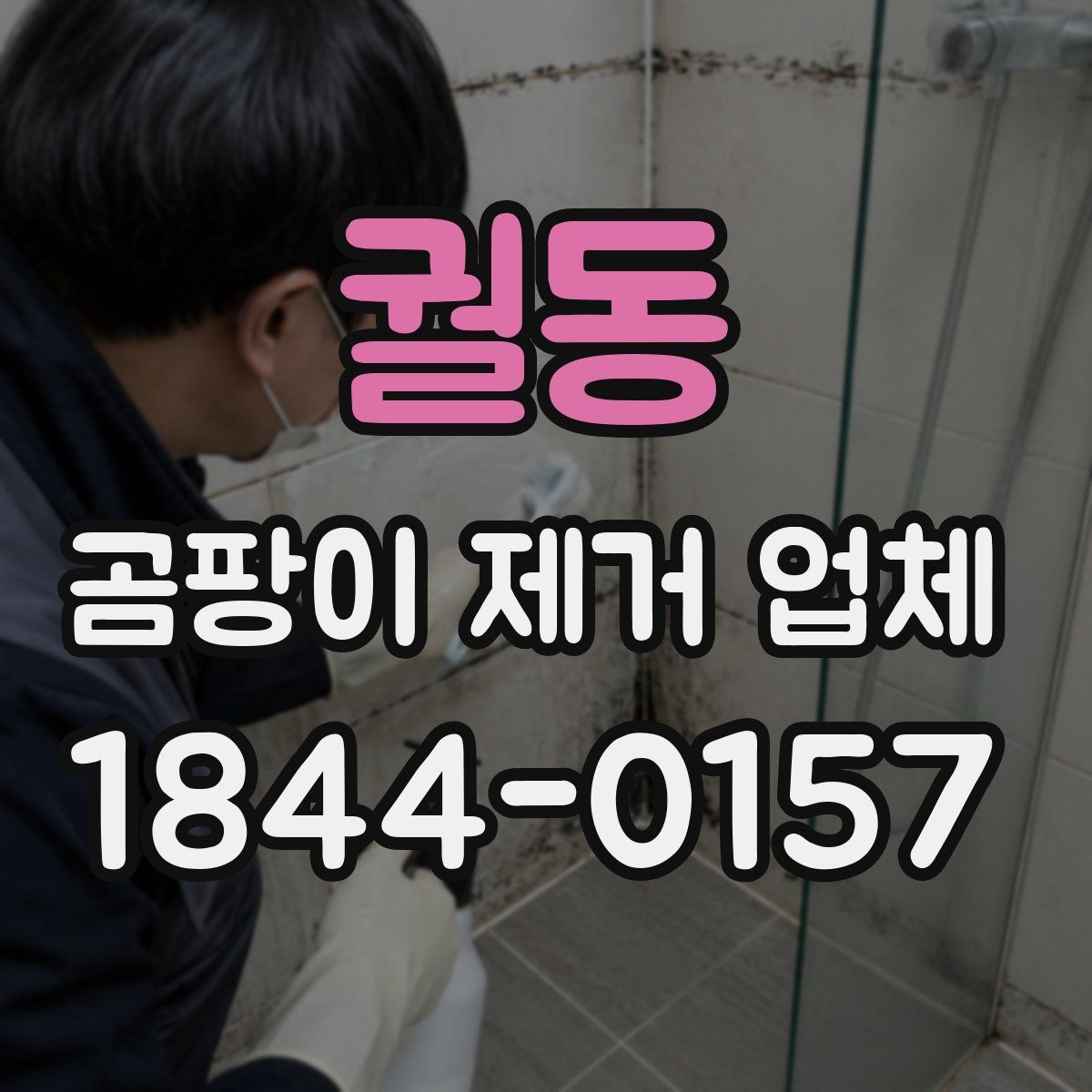 궐동 곰팡이 제거 업체
