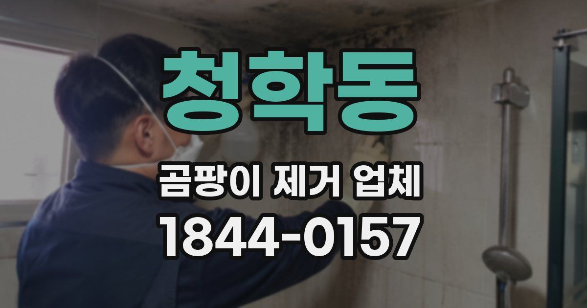 청학동 곰팡이 제거 업체