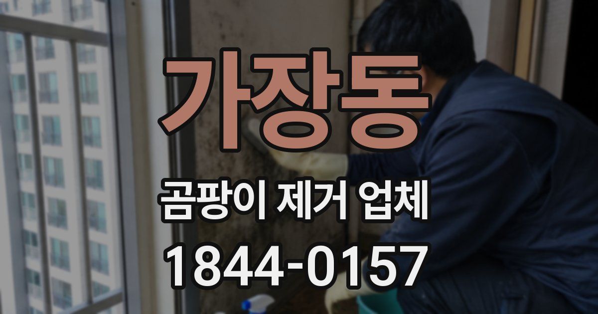 가장동 곰팡이 제거 업체