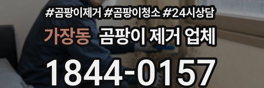 가장동 곰팡이 제거 업체