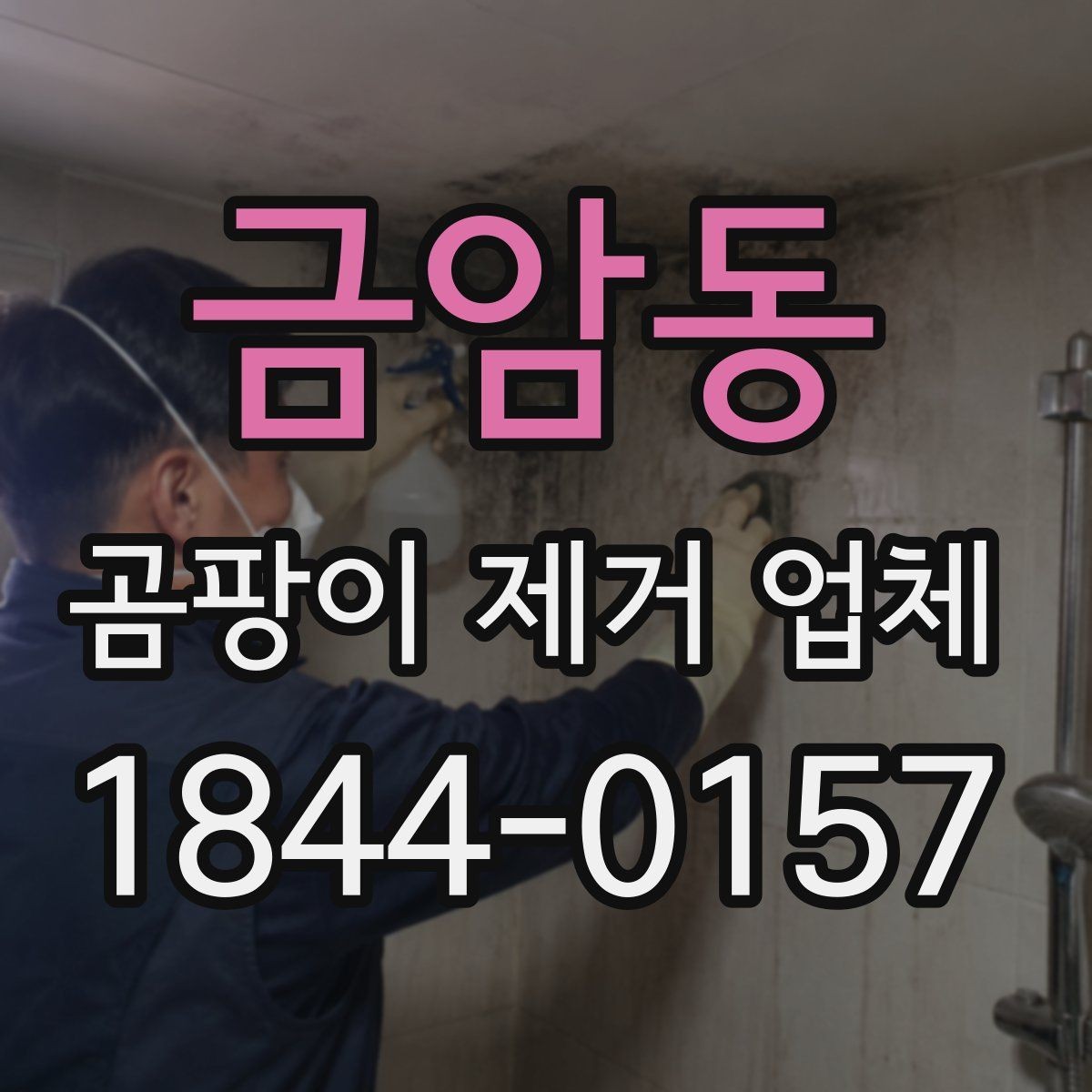 금암동 곰팡이 제거 업체 욕실 틈새와 창틀 구석을 함께 살피는 이유