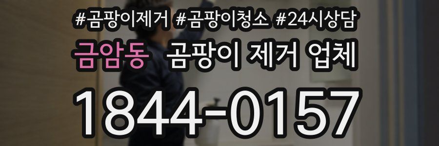 금암동 곰팡이 제거 업체