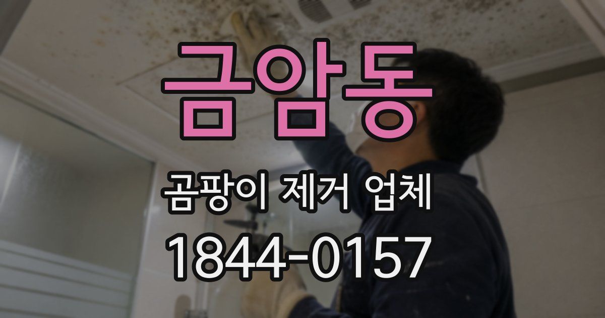 금암동 곰팡이 제거 업체