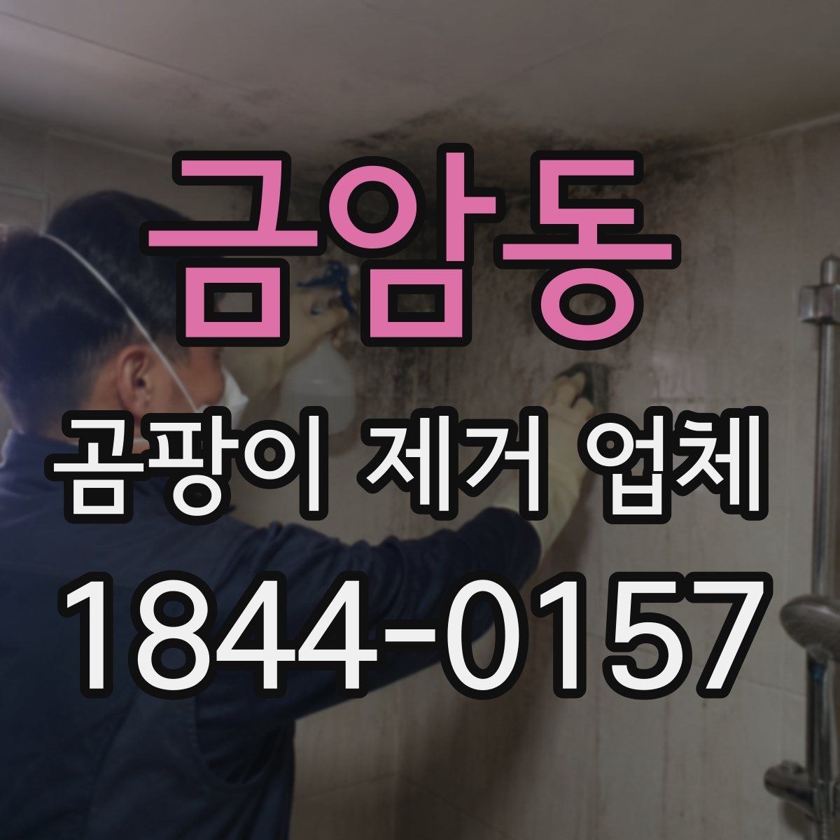 금암동 곰팡이 제거 업체