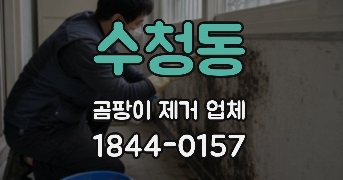 수청동 곰팡이 제거 업체