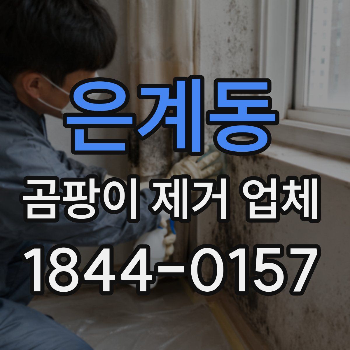은계동 곰팡이 제거 업체