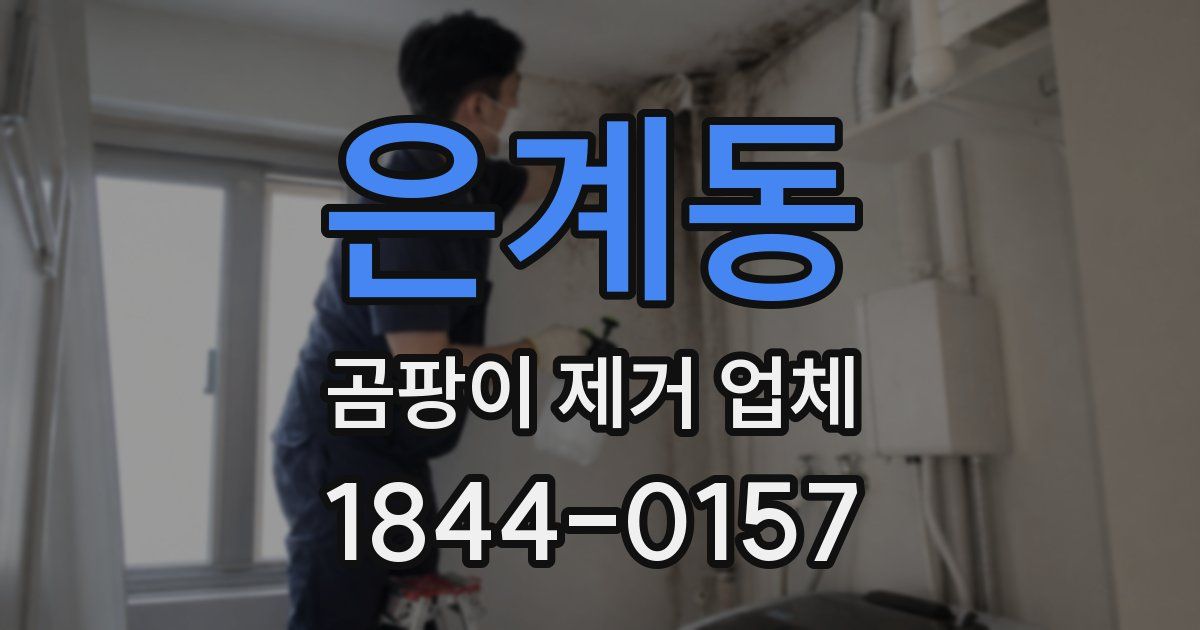 은계동 곰팡이 제거 업체