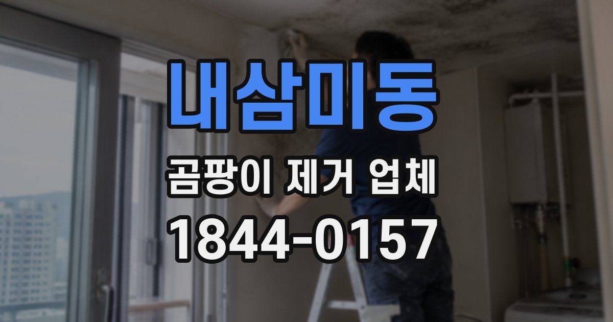 내삼미동 곰팡이 제거 업체