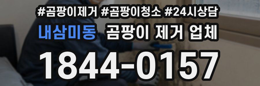 내삼미동 곰팡이 제거 업체