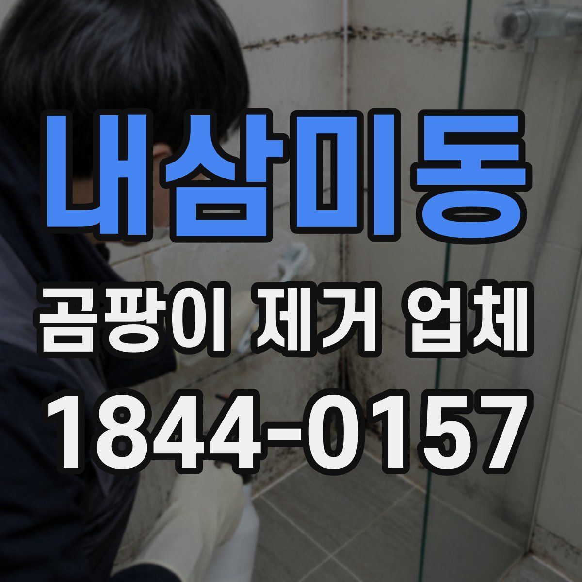 내삼미동 곰팡이 제거 업체