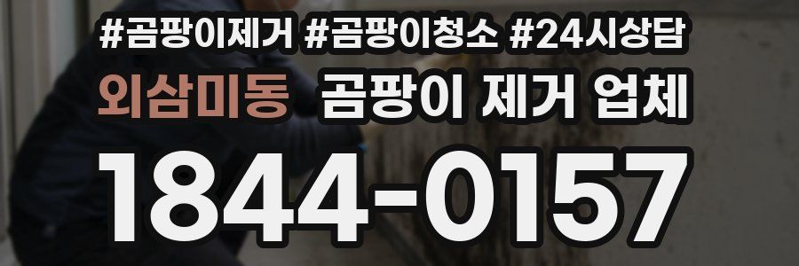 외삼미동 곰팡이 제거 업체