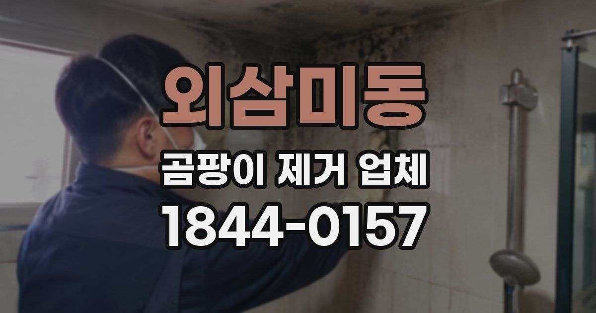 외삼미동 곰팡이 제거 업체