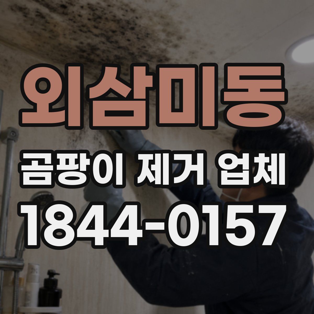 외삼미동 곰팡이 제거 업체