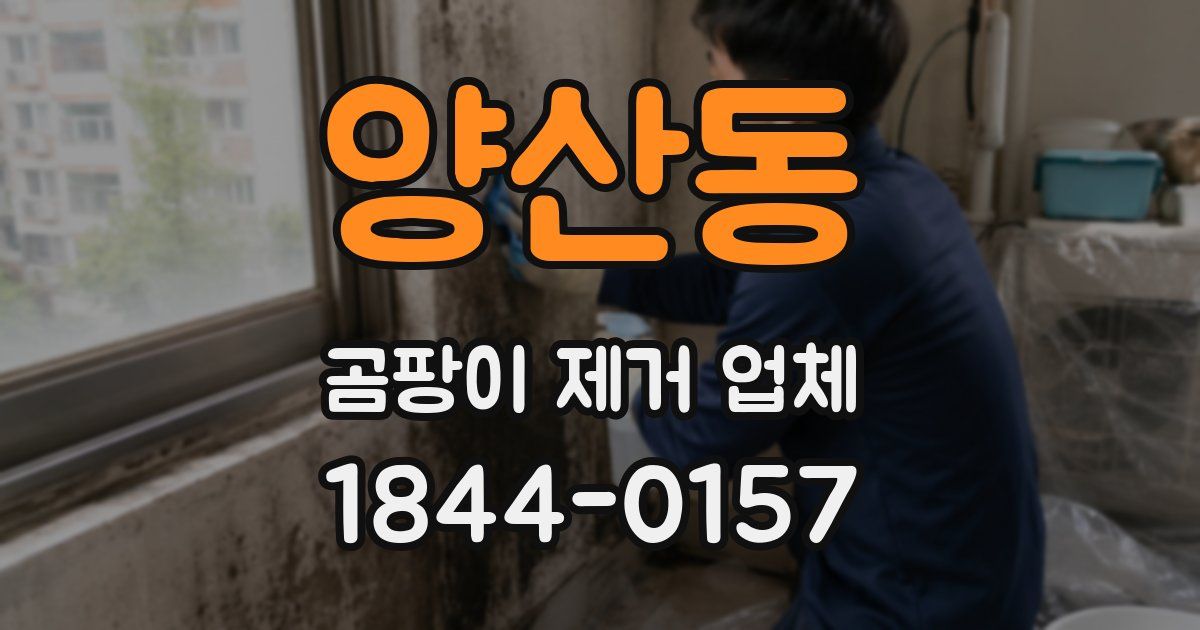 양산동 곰팡이 제거 업체