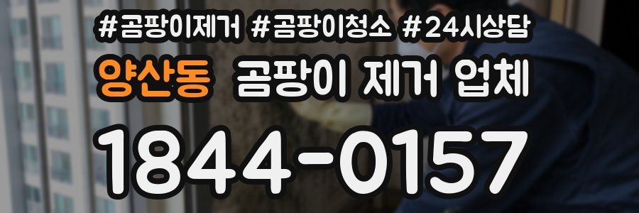 양산동 곰팡이 제거 업체