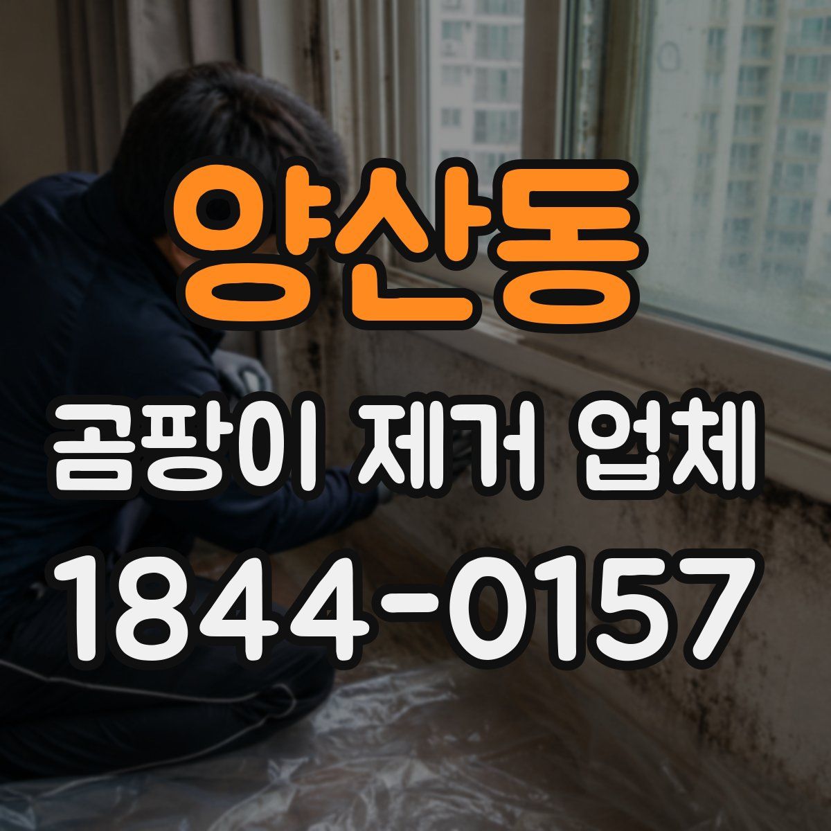양산동 곰팡이 제거 업체