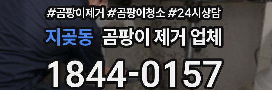 지곶동 곰팡이 제거 업체