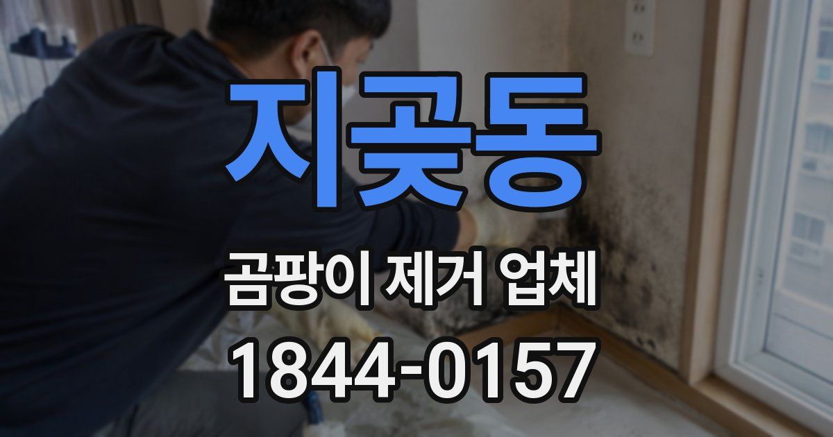 지곶동 곰팡이 제거 업체