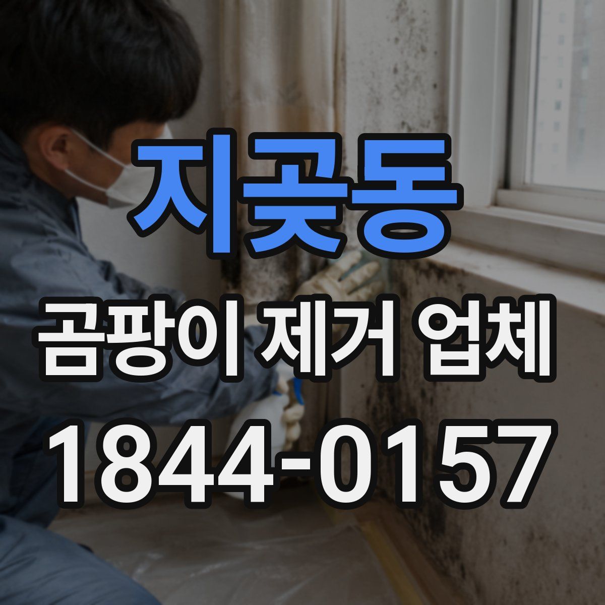 지곶동 곰팡이 제거 업체