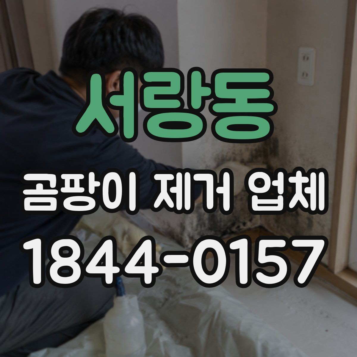 서랑동 곰팡이 제거 업체 사진으로 먼저 보는 전후 상태와 점검 항목