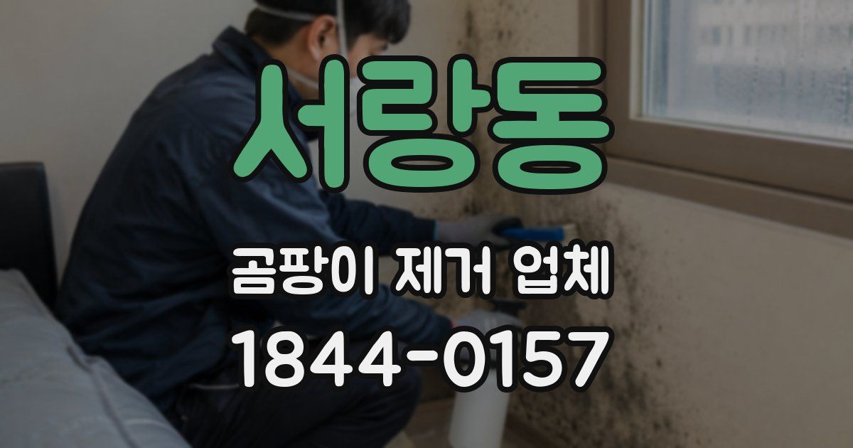 서랑동 곰팡이 제거 업체