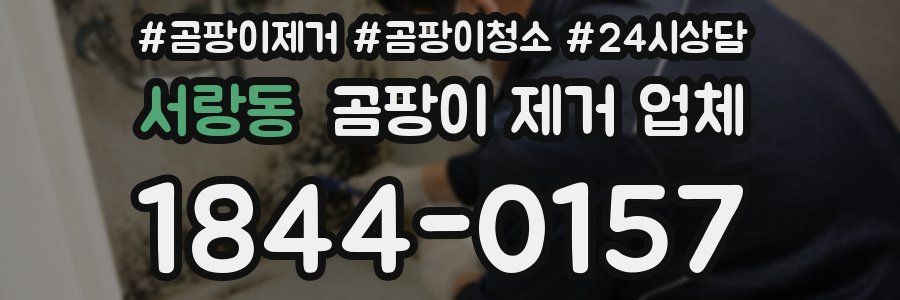서랑동 곰팡이 제거 업체
