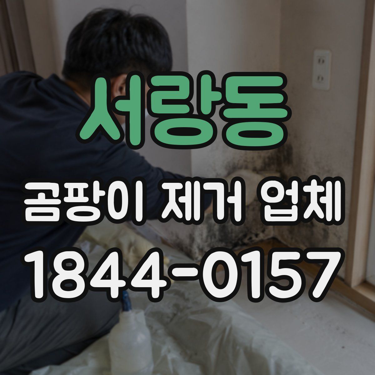 서랑동 곰팡이 제거 업체