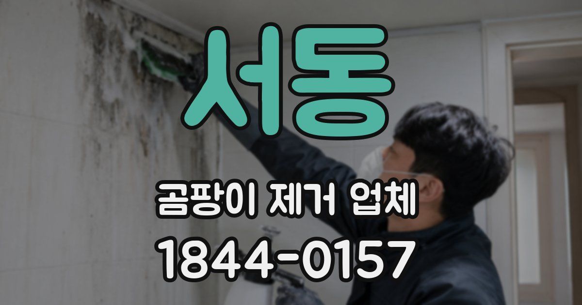 서동 곰팡이 제거 업체