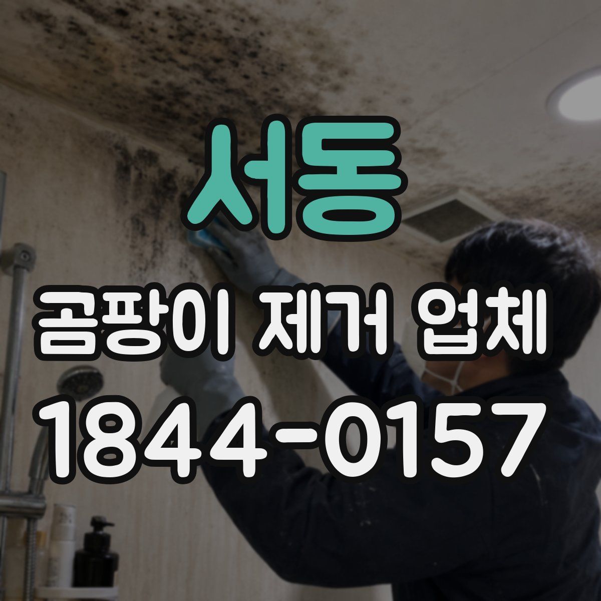 서동 곰팡이 제거 업체